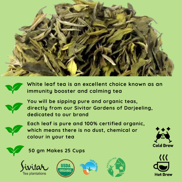 Pisces White Leaf