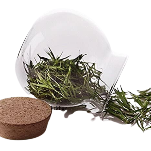 A clear glass jar with a bamboo lid filled with green tea leaves, alongside an empty bamboo lid.