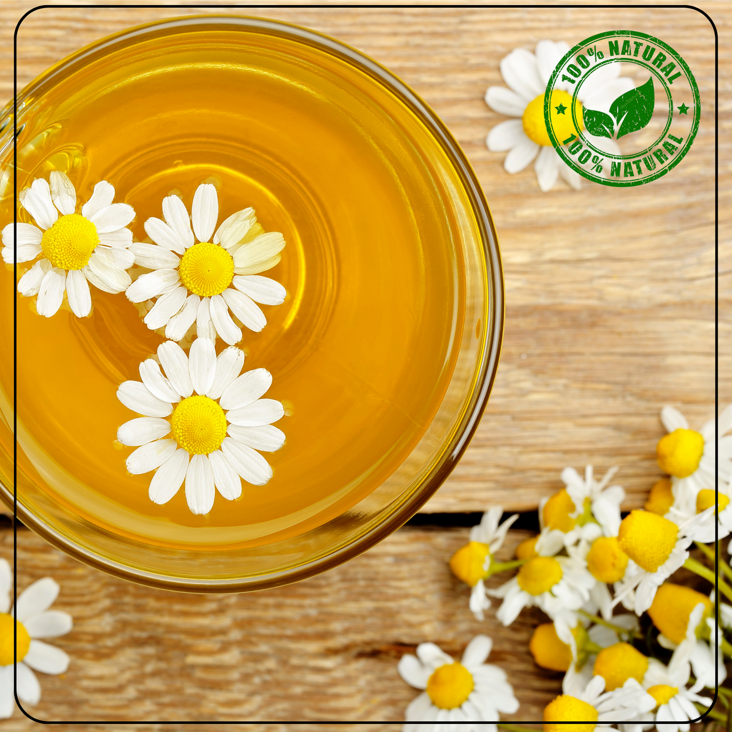 CALMING Chamomile Flower Decaf Chinese Tisane - A Tea for Sleep and Serenity - Radhikas Fine Teas and Whatnots