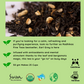 Capricorn Earl Grey Tea