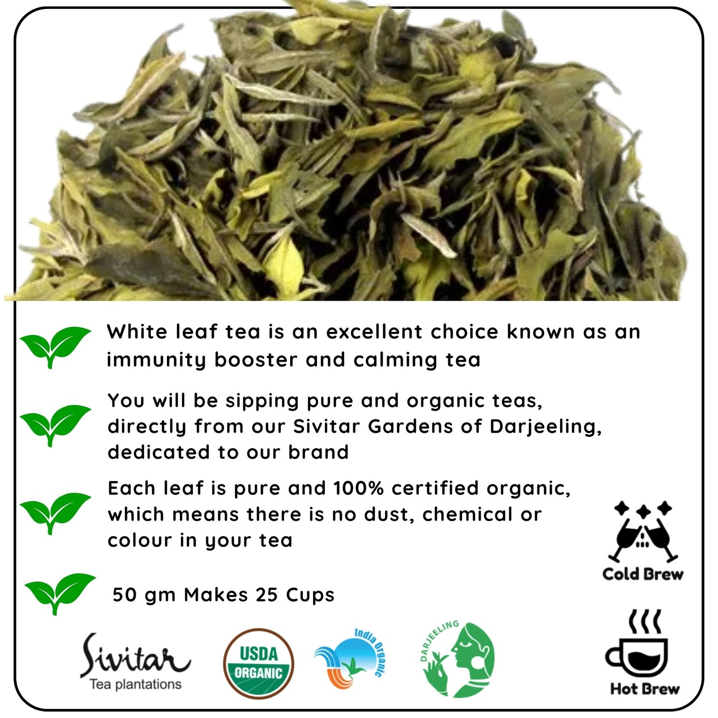 CALMING White Leaf - How White Tea Can Help You Relax and Focus