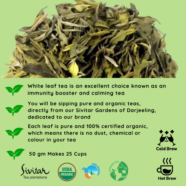 Pisces White Leaf - A special blend that celebrates the Healer, Zodiac Tea Collection, Gifting