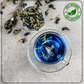 ANTI-AGEING Thai Butterfly Blue Tisane - A Magical and Colorful Drink - Radhikas Fine Teas and Whatnots