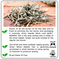 CALMING Silver Needle White Leaf