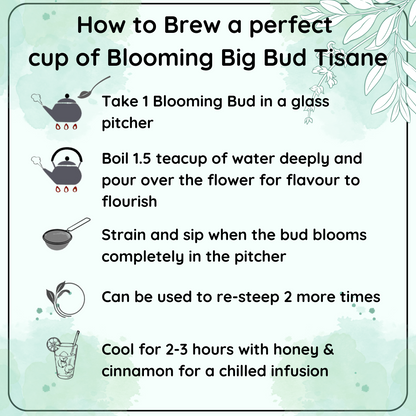 HORMONAL BALANCE Blooming Big Bud Tisane
