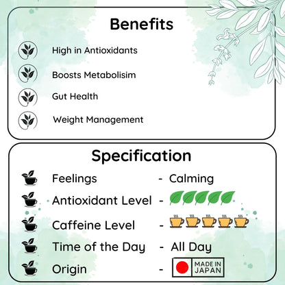 METABOLIC Kyoto Matcha - Unleash Your Energy and Boost Your Wellness - Radhikas Fine Teas and Whatnots 