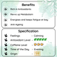REVVS UP METABOLISM Lanka Sencha Tea