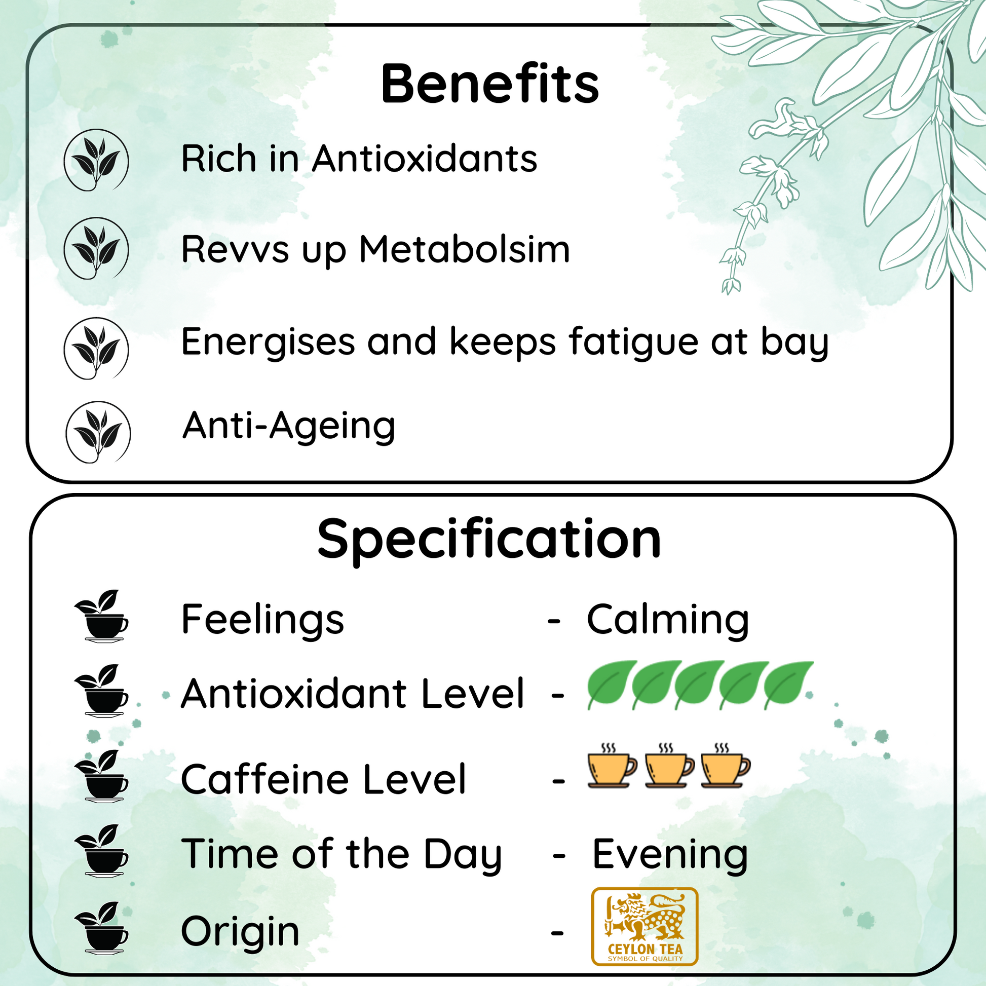 REVVS UP METABOLISM Lanka Sencha Tea