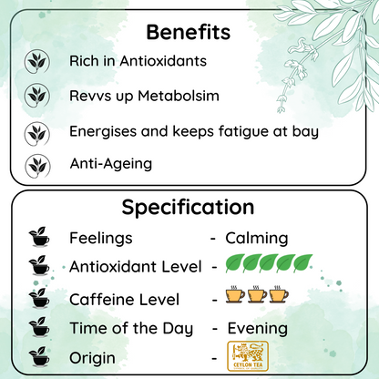 REVVS UP METABOLISM Lanka Sencha Tea