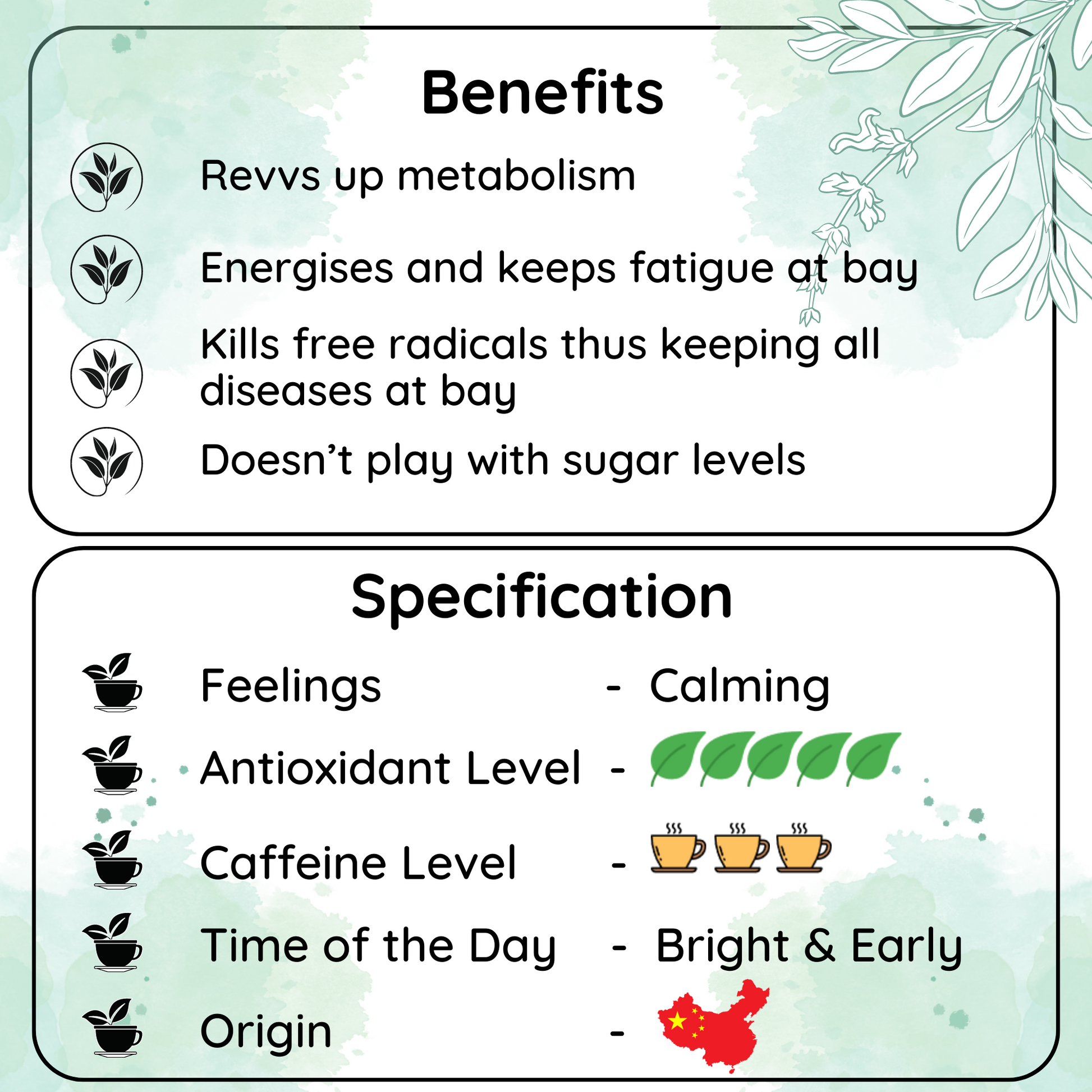 REVVS UP METABOLISM Longjing Leaf