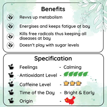 REVVS UP METABOLISM Longjing Leaf