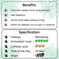 INVIGORATING Spearmint Darjeeling Leaf - How Spearmint Tea Can Enhance Your Mood and Focus - Radhikas Fine Teas and Whatnots